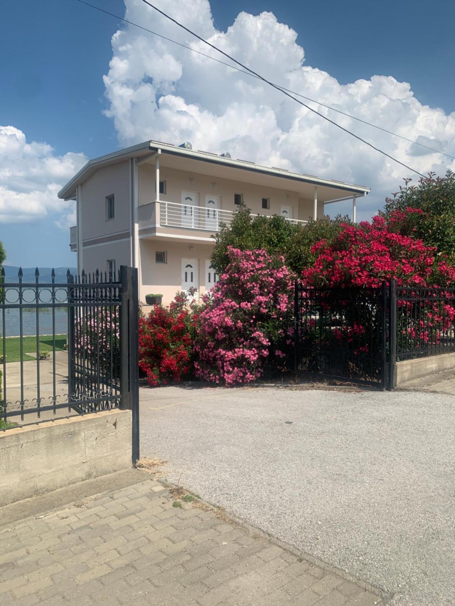 Sunrise Apartments And Studios Dojran Zewnętrze zdjęcie